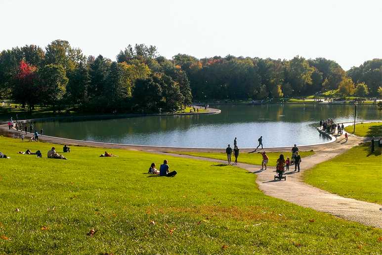 8 Exciting Things to Do in Montreal in Summer