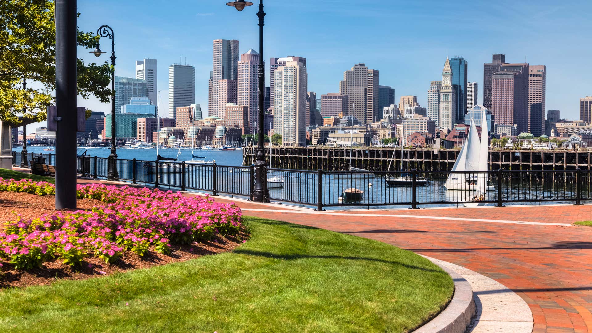 Boston Iconic View Best Views in Boston: Observation Decks, Parks, and More