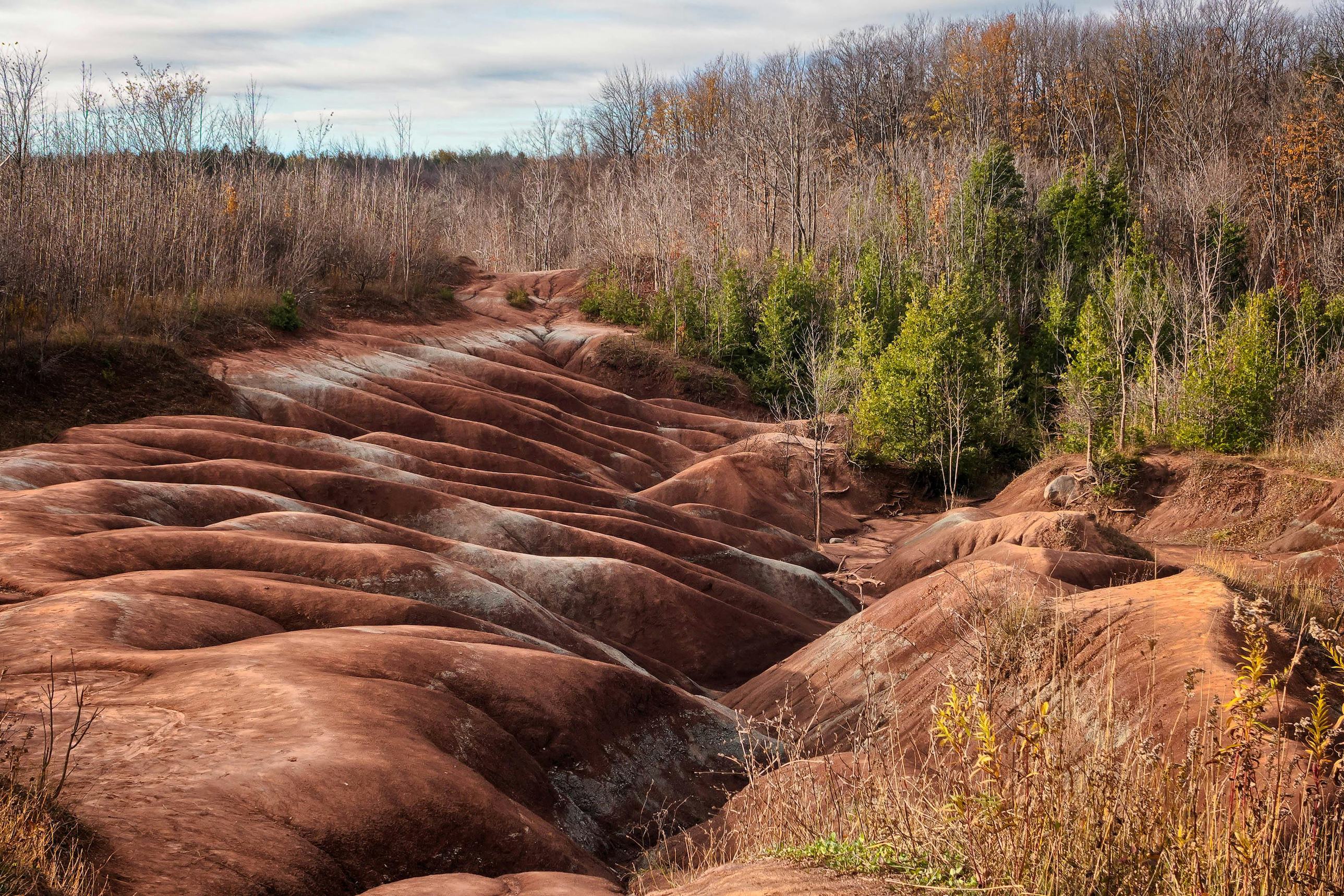 8 Unmissable Toronto Landmarks and Historic Sights