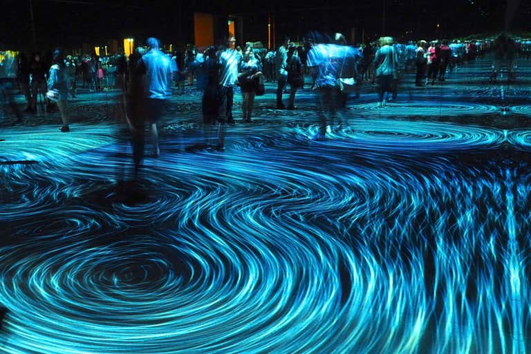 Montreal Famous Pattern 9 Best Museums in Montreal Not To Miss
