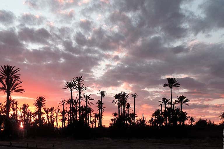 Un amanecer sobre un palmeral de Marrakech con nubes de colores.
