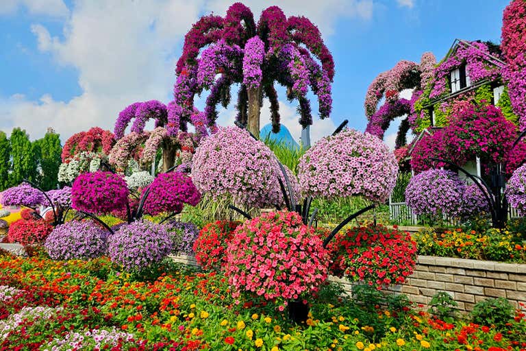 53525424052_3d0a9dc8af_o-LOWRES.jpg
