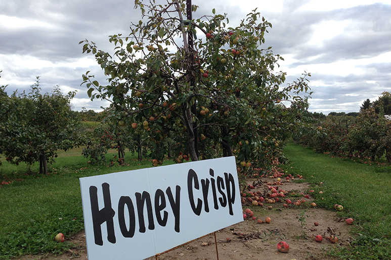 Fall in Wisconsin: 8 Best Places to Visit