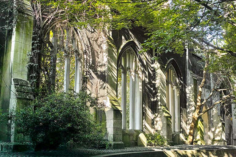 St. Dunstan in the East ruins with empty Gothic window arches, ivy-covered walls and sunlight filtering through trees