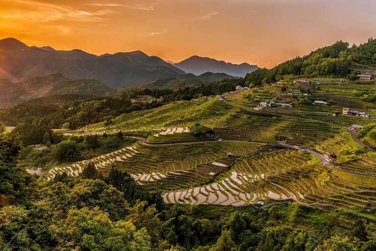 rice-terraces-2389023_1920-LOWRES.jpg