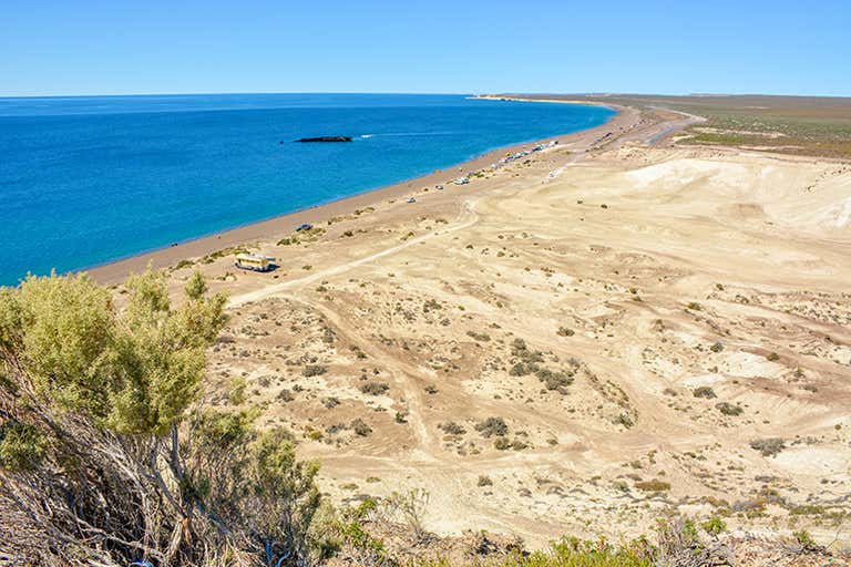 Uma vista panorâmica de uma praia de areia com águas azuis claras e vegetação esparsa.