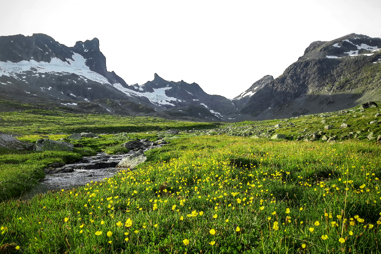 約頓海門國家公園（Jotunheimen National Park）是一座鬱鬱蔥蔥的綠色山谷，點綴著黃色野花，山巔覆蓋著白雪。