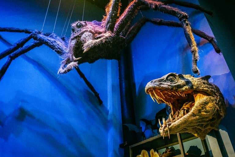 t63735.-London---Fully-Guided-Making-of-Harry-Potter-Tour-nr51.-edited-LOWRES.jpg