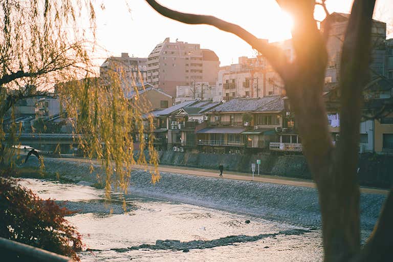 pexels-satoshi-1715546-LOWRES.jpg