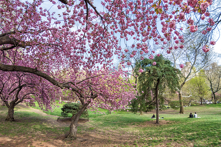 Bucharest in Spring: 8 Great Things To See and Do