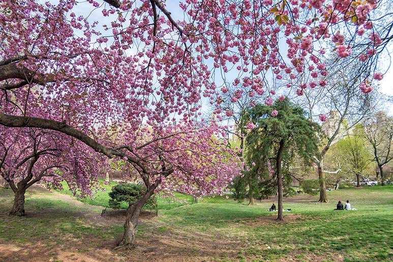 Bucharest In Spring Bucharest in Spring: 8 Great Things To See and Do
