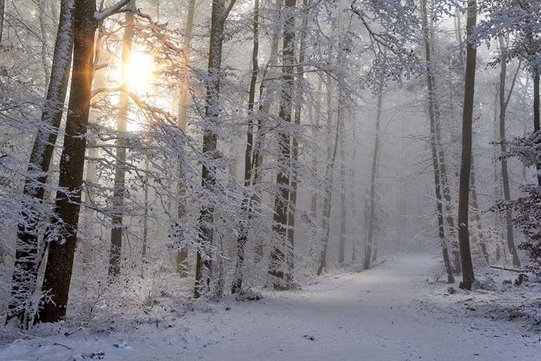 snow-4668099-LOWRES.jpg