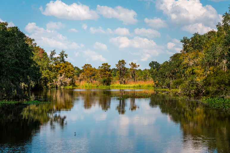 10 Best Things To Do in Louisiana in Spring