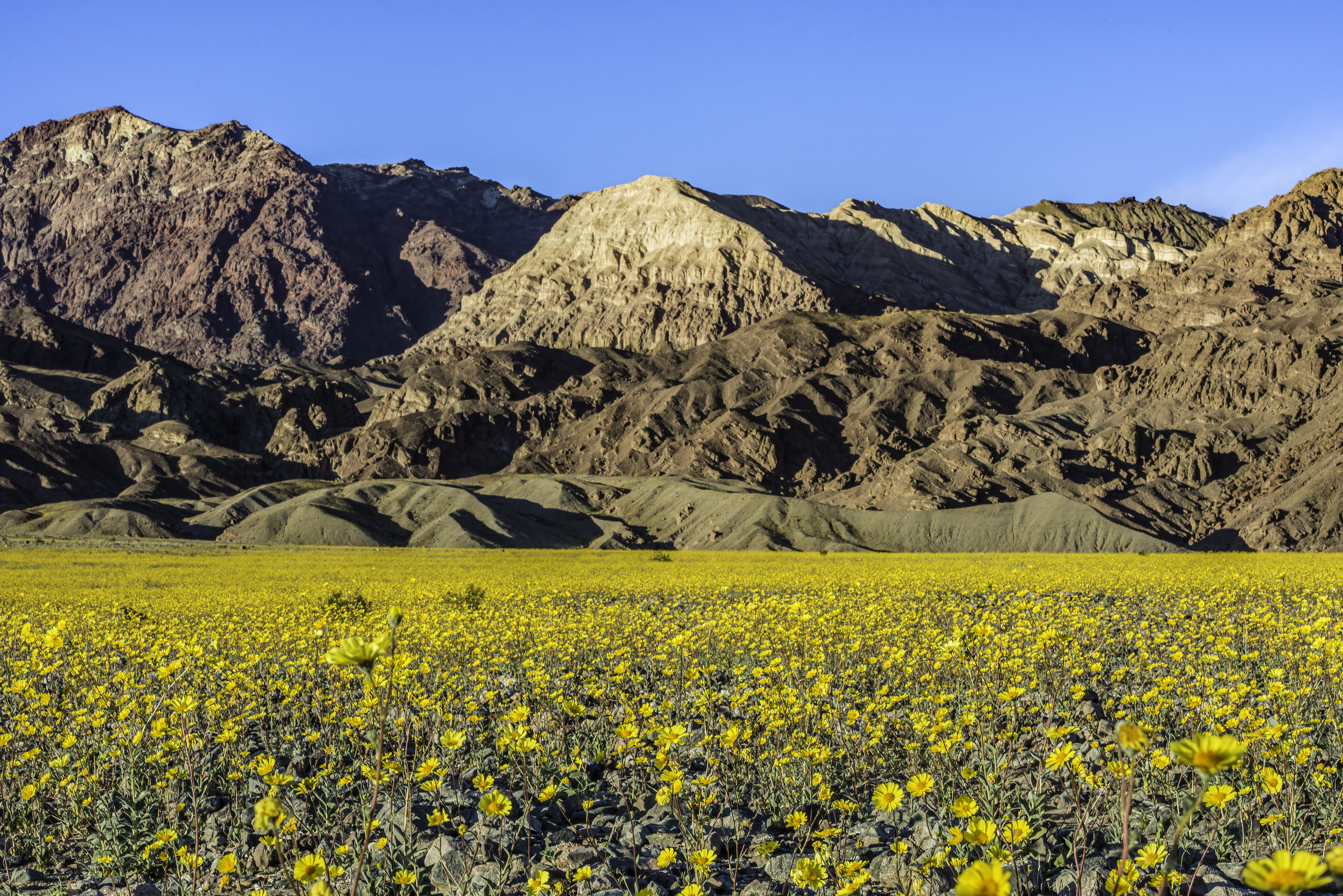 8 Incredible Things To Do in Las Vegas in Spring