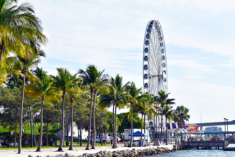 10 Fun Things To Do in Miami in Winter