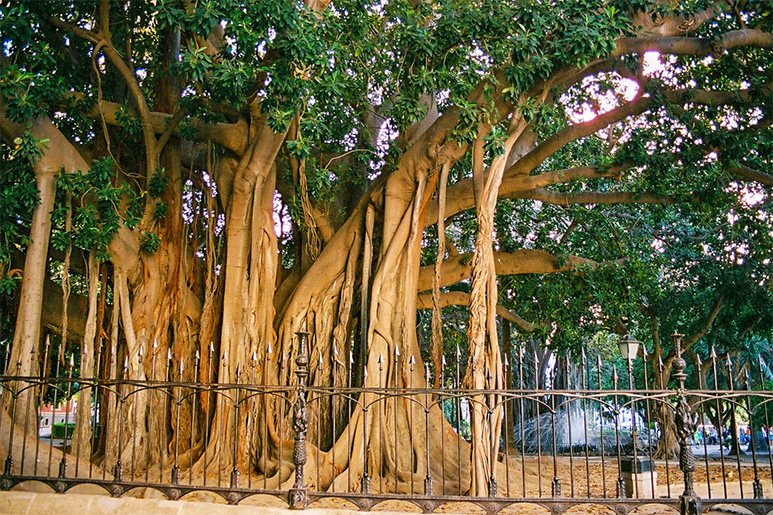 Palermo in Spring: What to See and Do