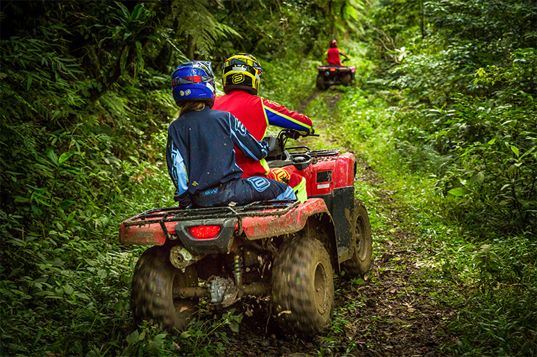 Пара катается на квадроциклах по тропическому лесу — настоящий адреналин!