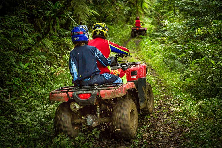 Пара катается на квадроциклах по тропическому лесу — настоящий адреналин!