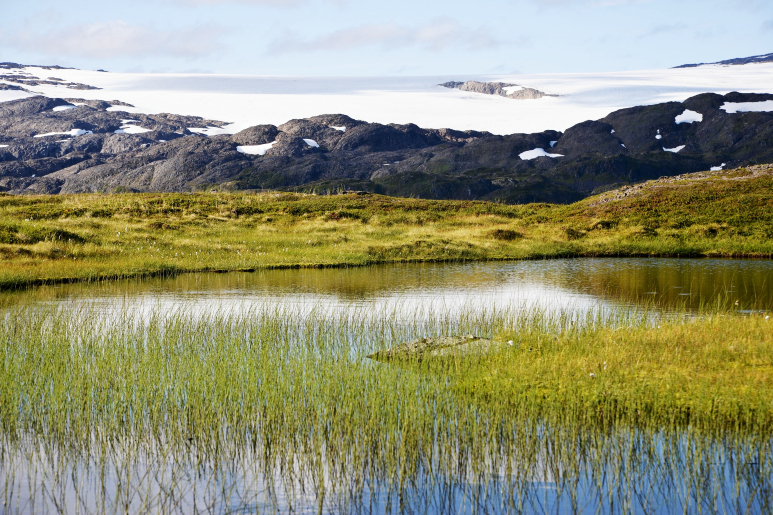 在塞蘭國家公園（Seiland National Park），你可以看到一片寧靜的景色：草地茂盛的池塘，遠處是白雪覆蓋的山脈。