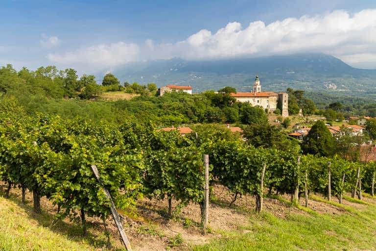 Scenic Vipava Valley in Gorice region, Slovenia, with lush landscapes.