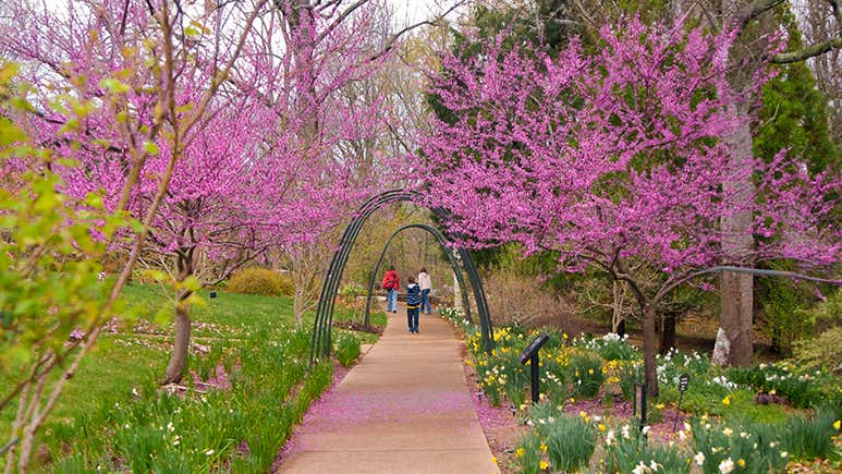 Spring Tennessee 8 Epic Things To Do During Spring In Tennessee