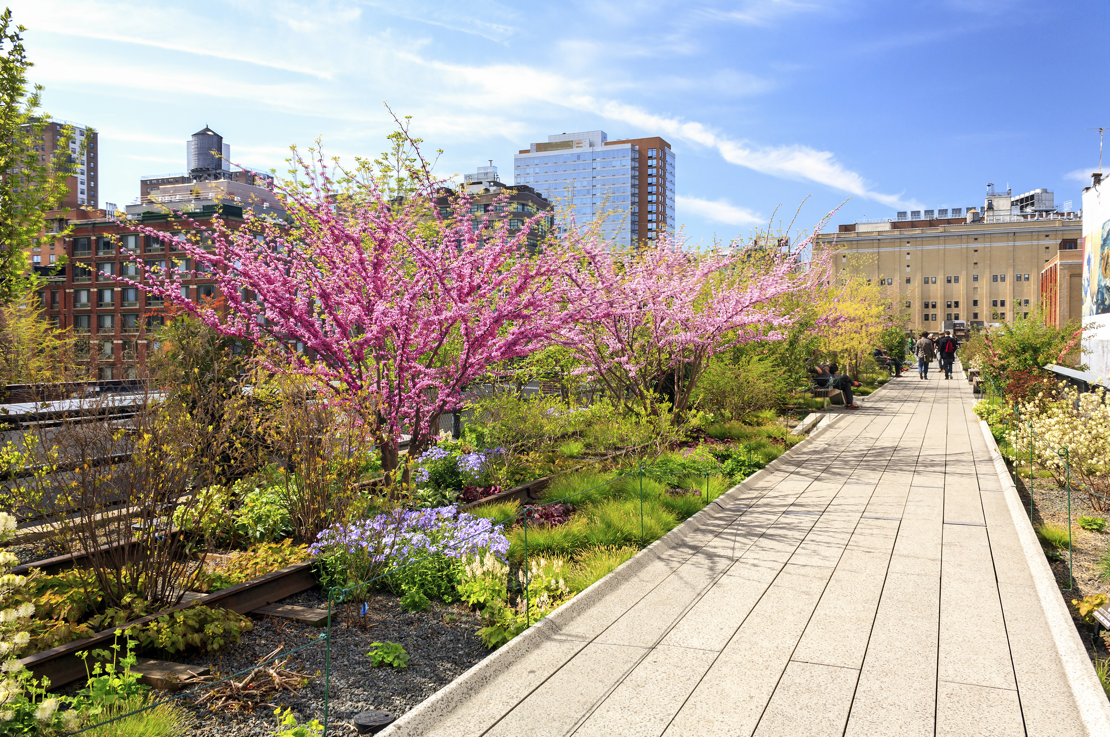 9 Budget-Friendly And Free Things To Do In NYC - GetYourGuide