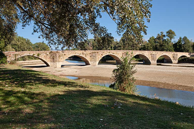 Een stenen brug over een opgedroogde rivier, geflankeerd door grote, schaduwrijke bomen