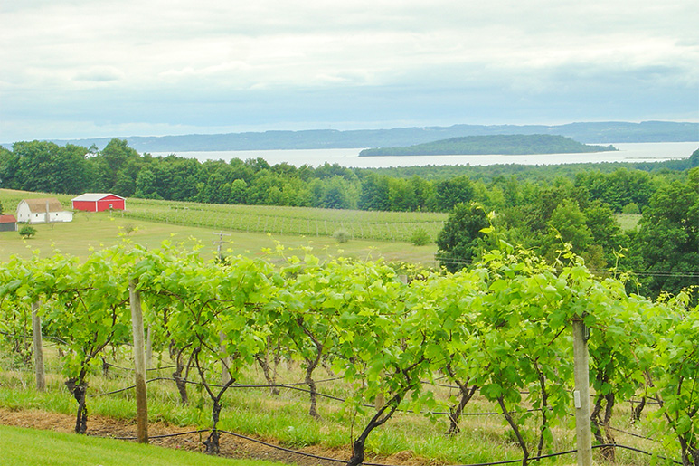 The 8 Best Tourist Attractions in Michigan You Can’t Miss
