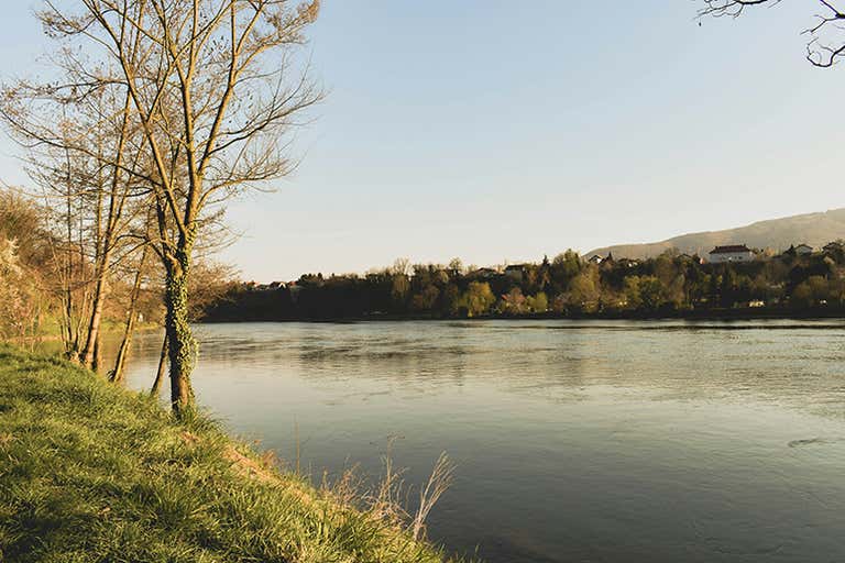 A serene river view with trees and grassy banks.