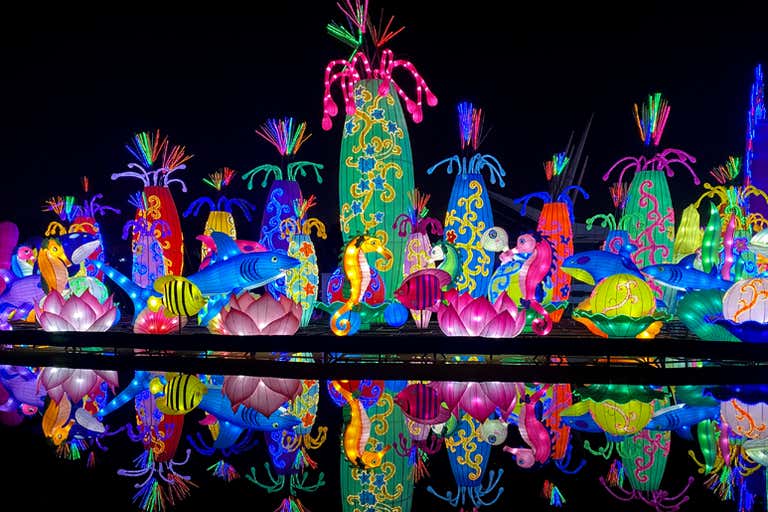 Glow_Garden-LOWRES.jpg