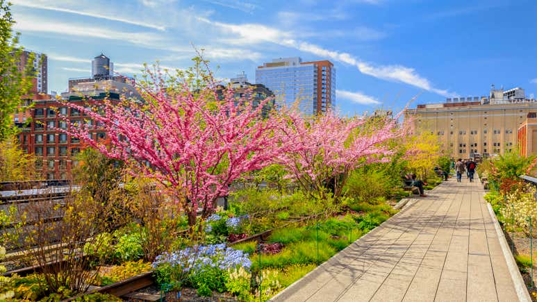 Springtime In New York The Ultimate Guide to Spring in New York City
