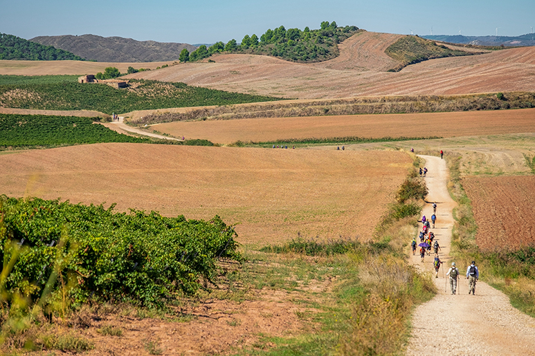 The Best Time To Visit Spain: A Month-By-Month Guide