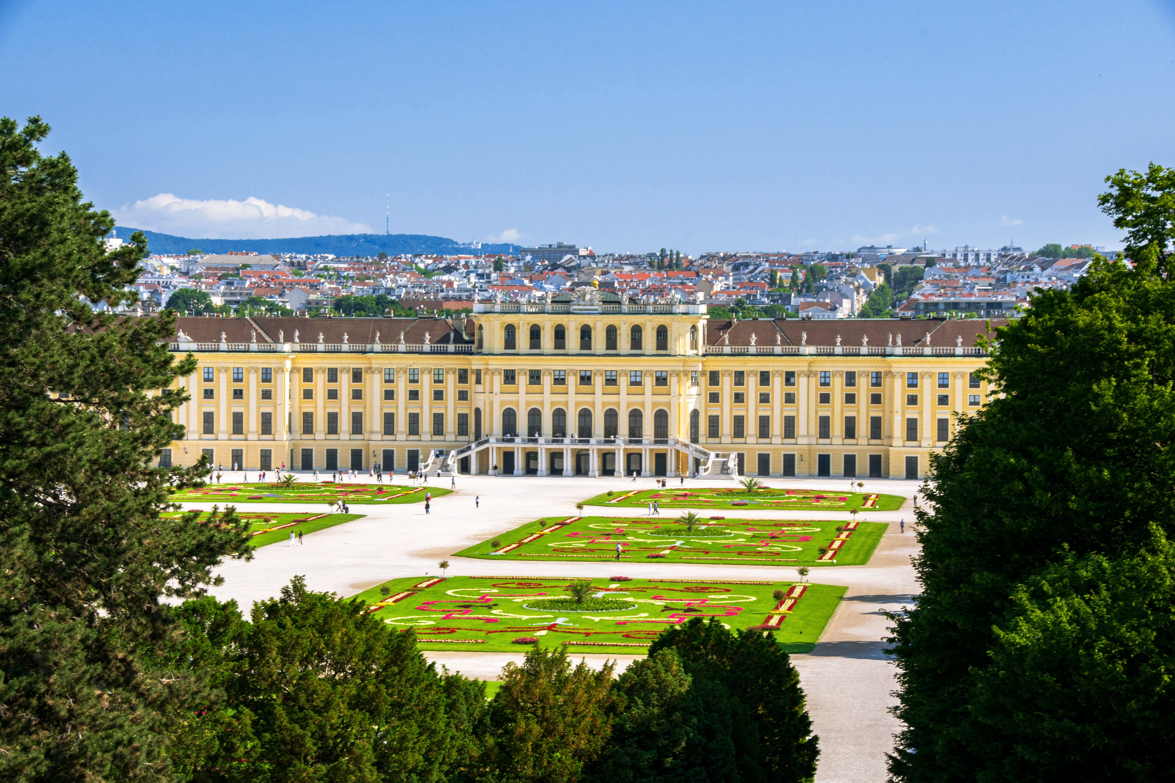 Vienna in August: 5 Best Activities and Local Tips