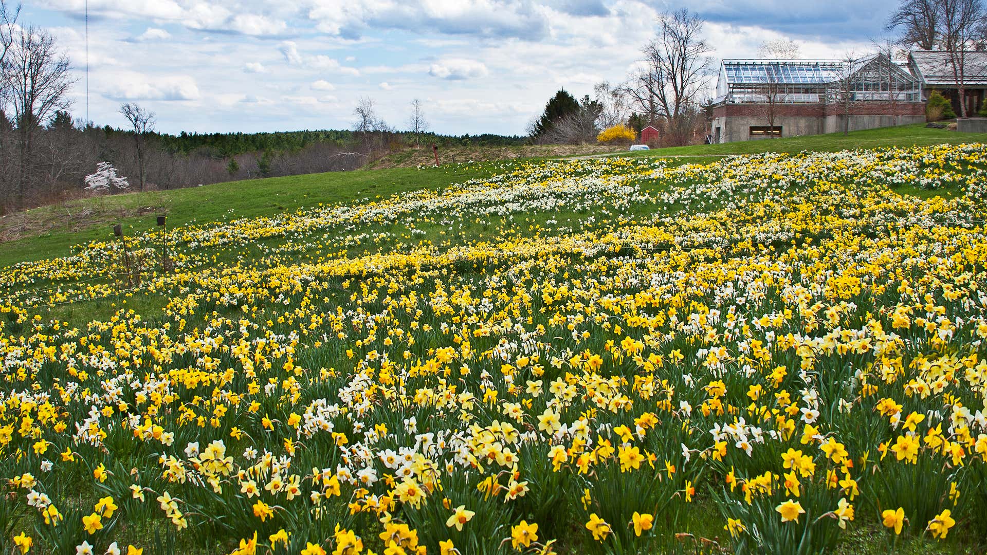 Spring in Massachusetts: The Best Things To See and Do