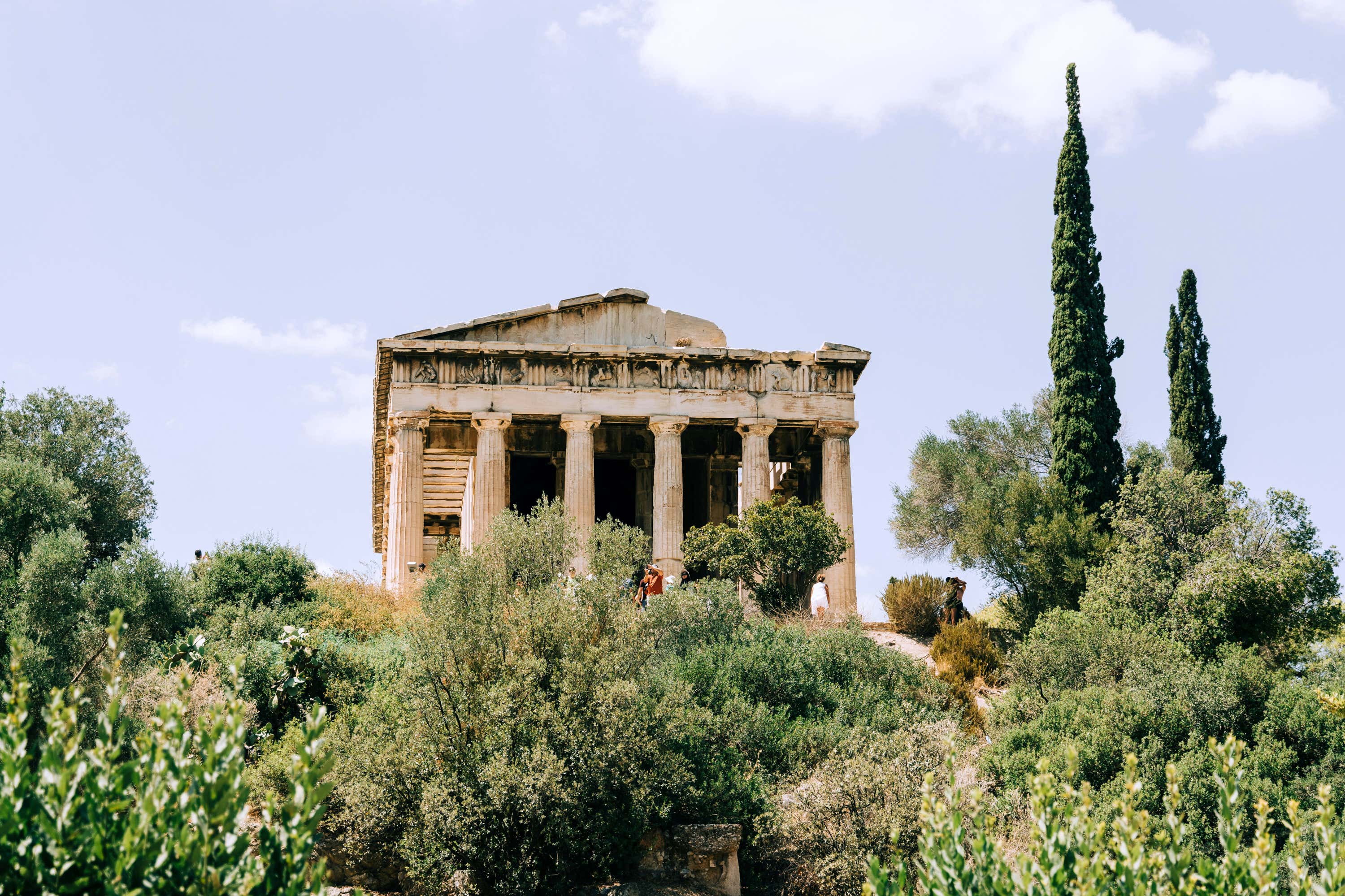 Agora Tree One Day in Athens: The Best Way To Spend 24 Hours