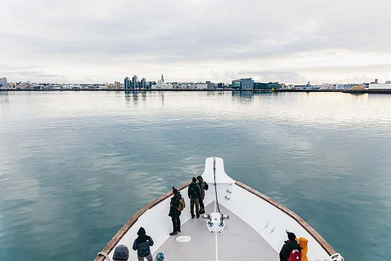 t174093.-Reykjavik---Whale-Watching-from-a-Luxury-Yacht-nr28.LOWRES.jpg
