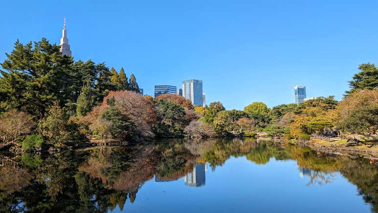 東京の必見ランドマークと歴史的名所8選