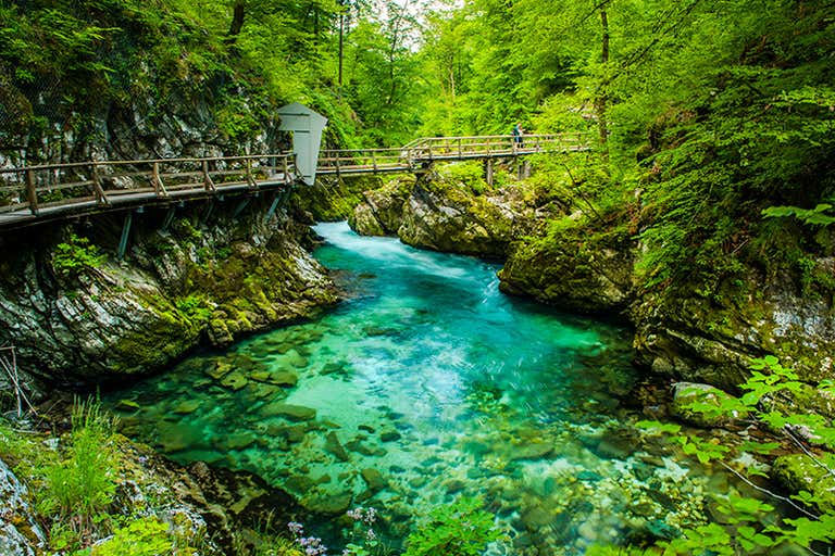 Wooden walkway suspended over crystal-clear turquoise waters of Vintgar Gorge, surrounded by moss-covered rocks and lush forest