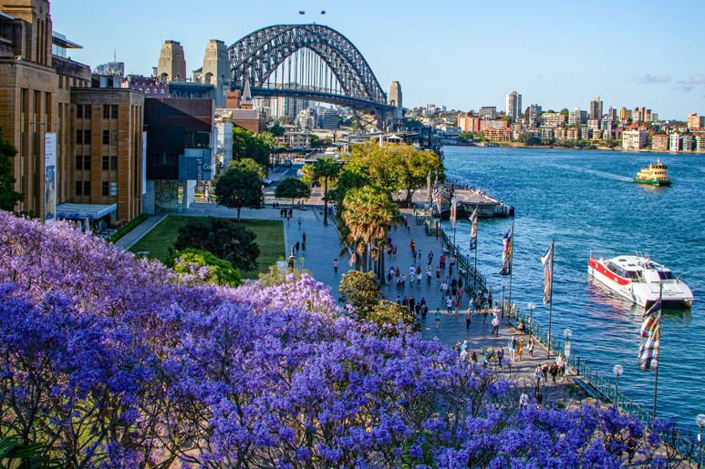 The Ultimate Guide to Your First Time in Sydney