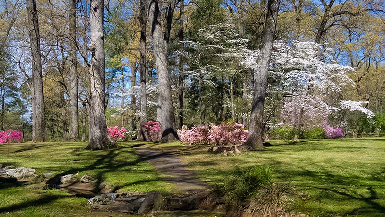 Spring In Tennessee 8 Epic Things To Do During Spring In Tennessee