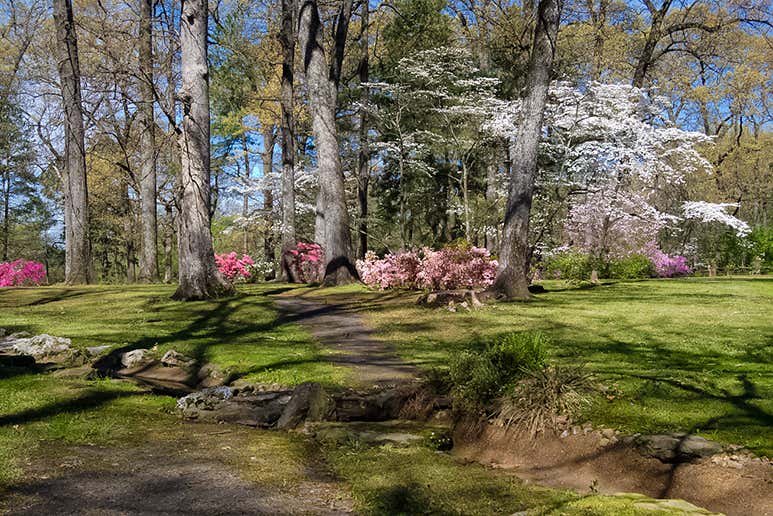 Spring Tennessee 8 Epic Things To Do During Spring In Tennessee