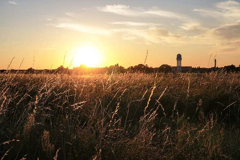 A sunrise over a field with tall grass and a distant water tower.