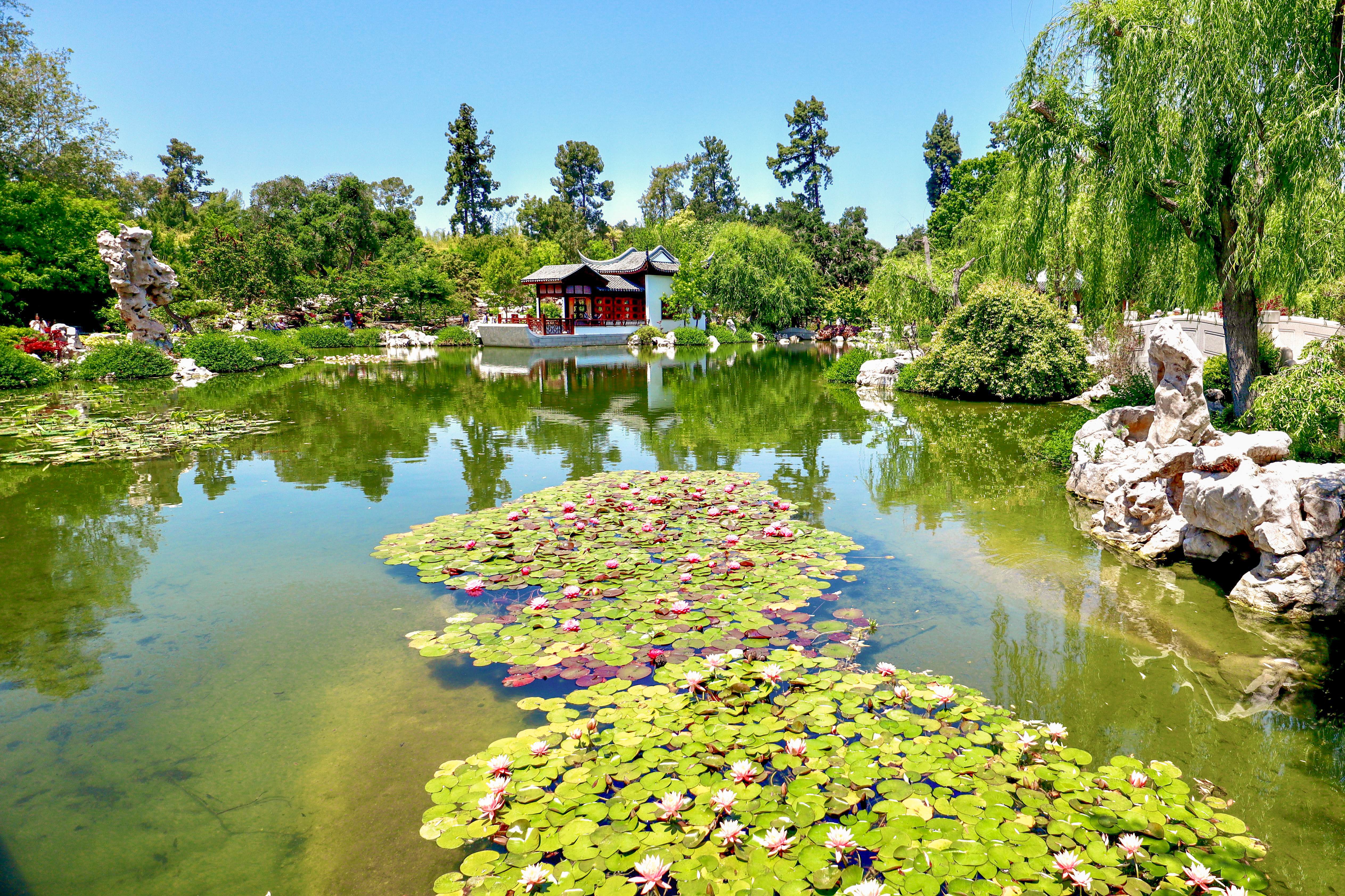 Los Angeles in Spring: What To See and Do