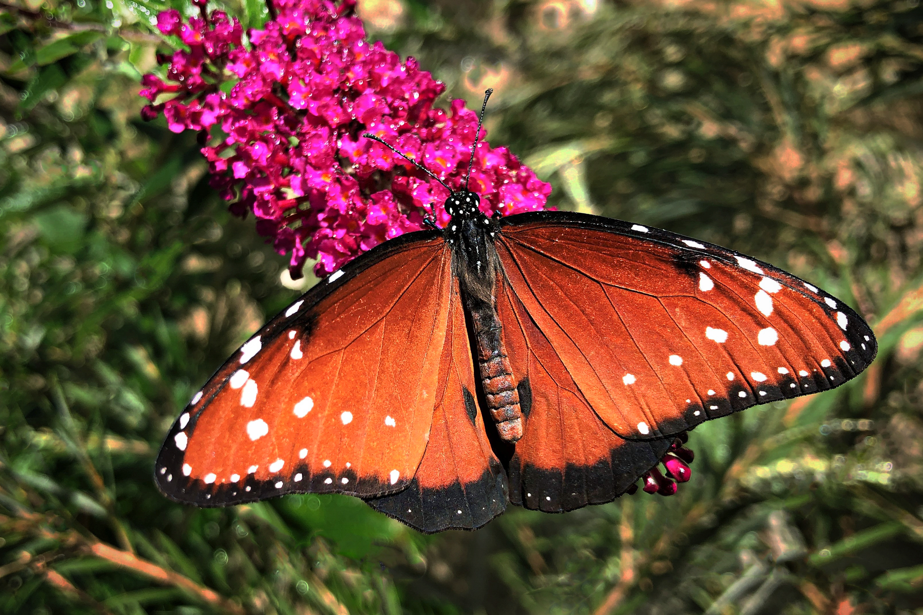Los Angeles in Spring: What To See and Do