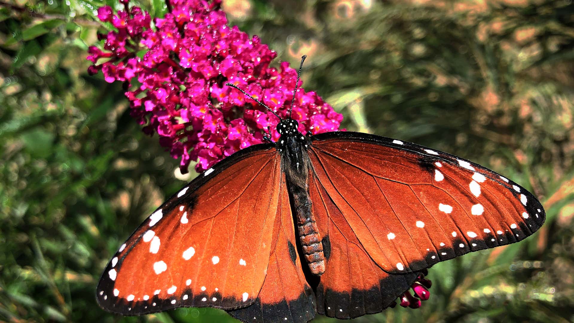 Spring In La Los Angeles in Spring: What To See and Do