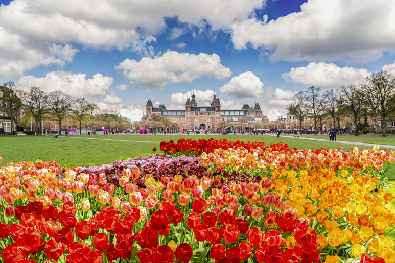 Le guide du festival des tulipes d'Amsterdam : Tout ce que vous devez ...