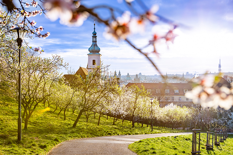 Best Time to Visit Prague: A Month-by-Month Guide