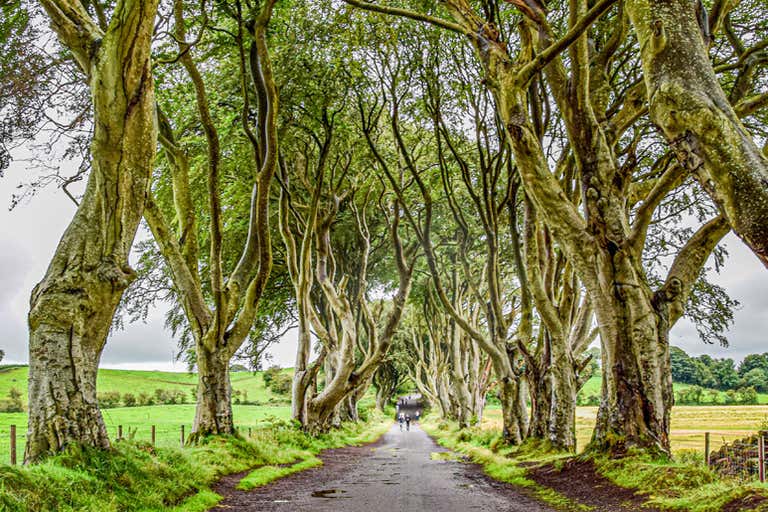 ireland-5343918-LOWRES.jpg