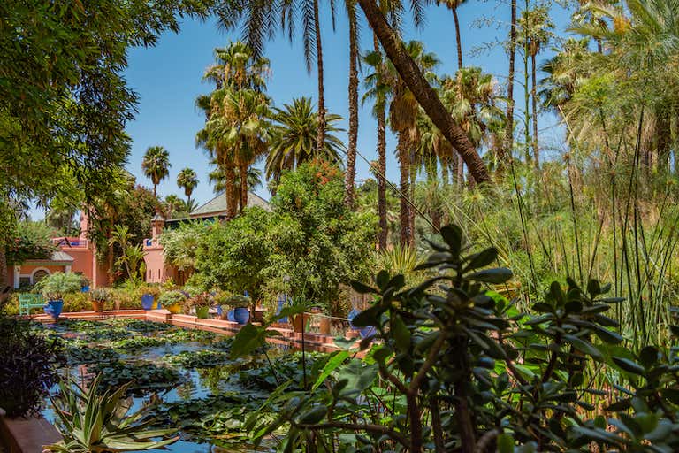 Un exuberante jardín con palmeras y un estanque en Marrakech, Marruecos.