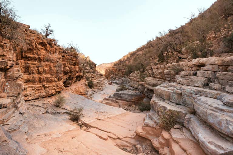 Paisaje rocoso con árboles estériles en el pintoresco Valle del Paraíso.